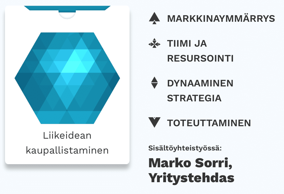 Liikeidean kaupallistaminen
